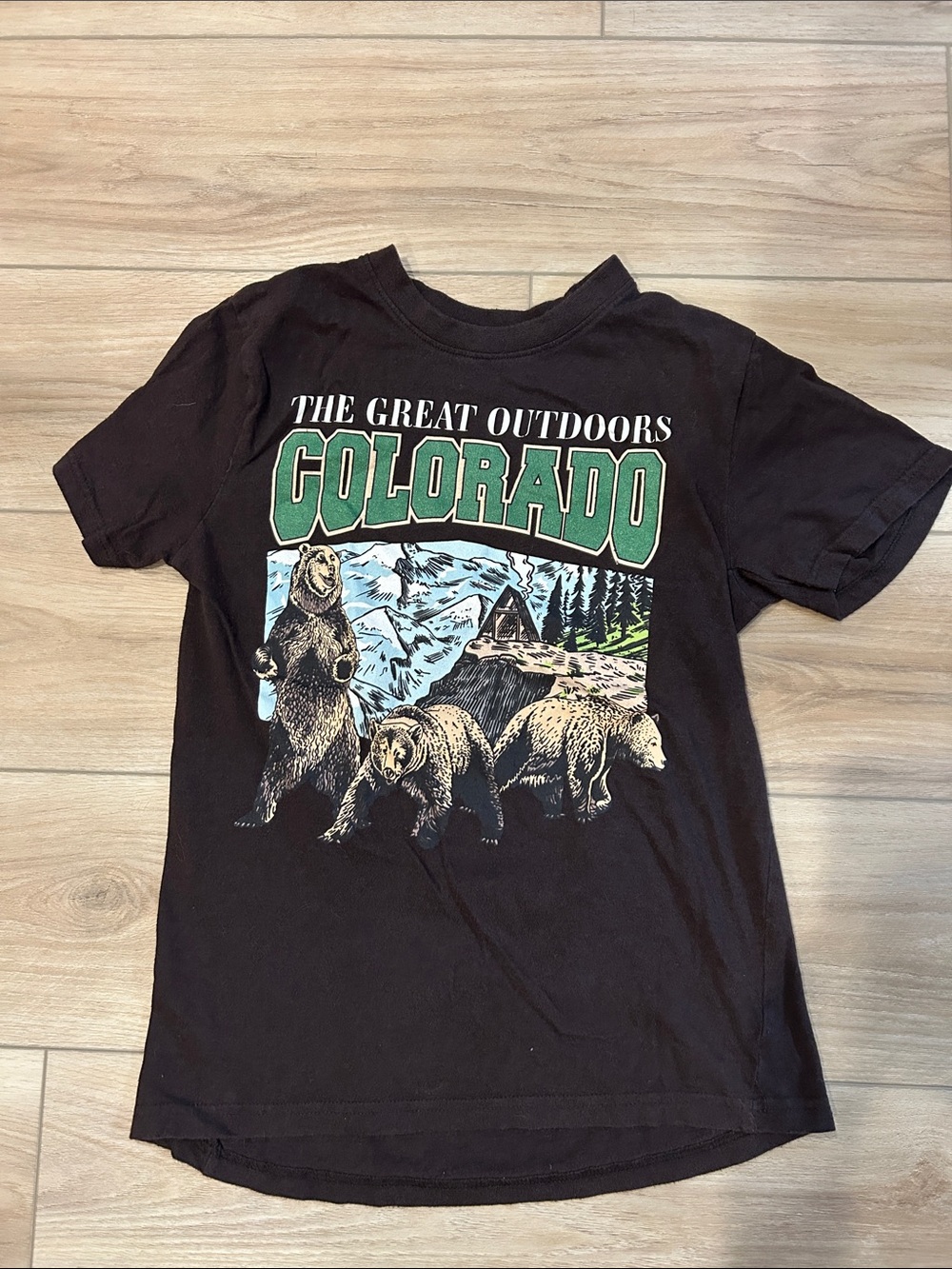 The Great outdoors Colorado brown tee size S